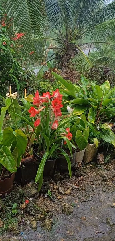 Vibrant tropical garden with lush greenery and blooming red flowers.