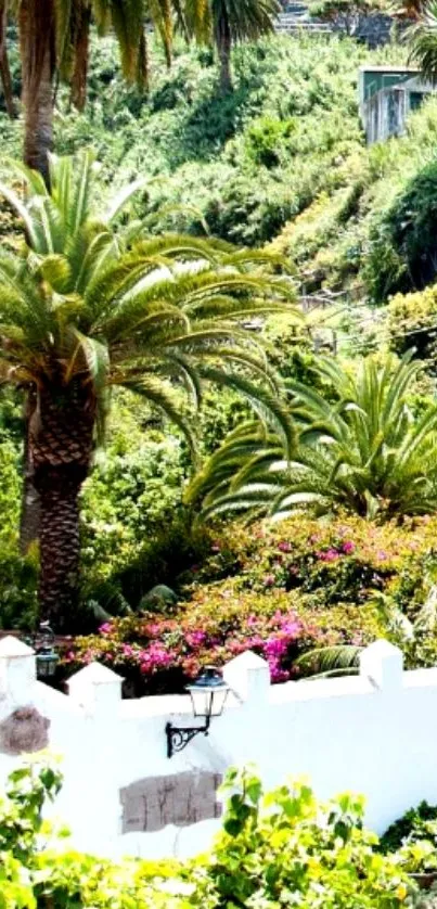 Tropical garden with palm trees and flowers in lush greenery.