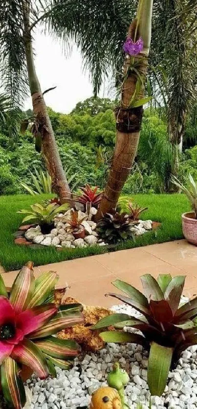 Tropical garden with bromeliads and palm trees.