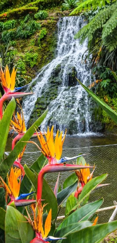 Tropical garden with orange flowers and a waterfall background.