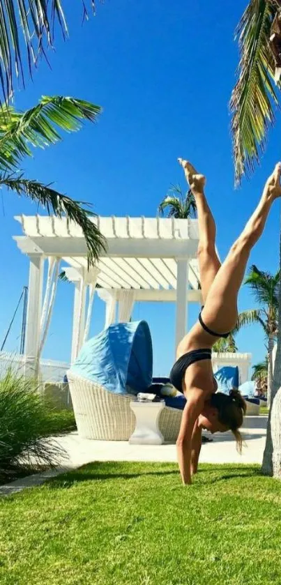 Person doing handstand under palm trees and blue sky.