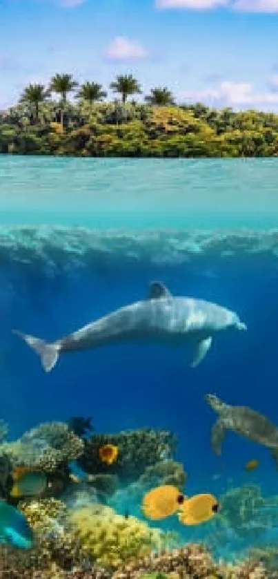 Dolphin swimming near tropical island with vibrant marine life.