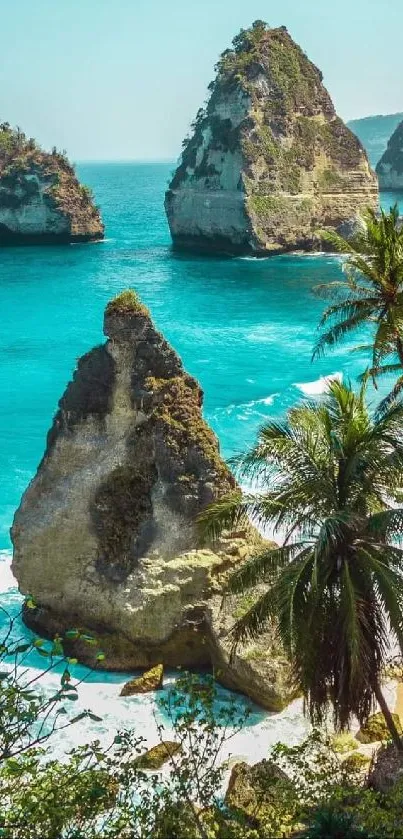 Beautiful tropical beach with turquoise water and palm trees.