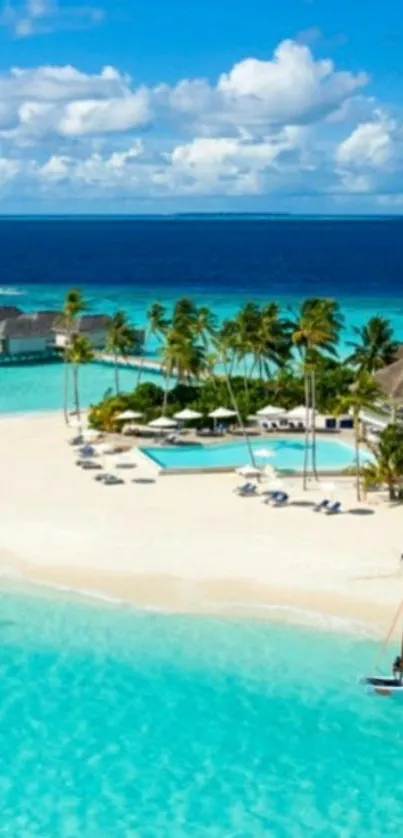 Tropical beach with azure waters and palm trees on a sunny day.