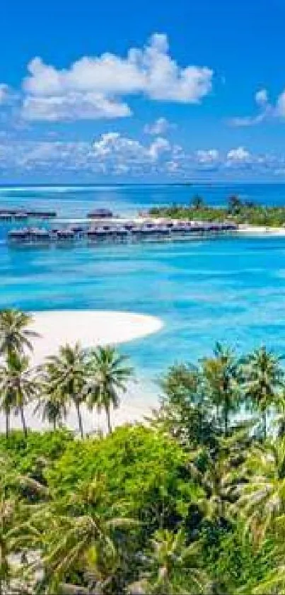 Aerial view of tropical island beach with turquoise water and palm trees.