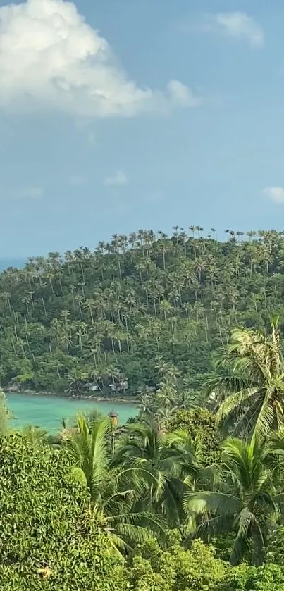 Tropical island view with lush greenery and ocean.