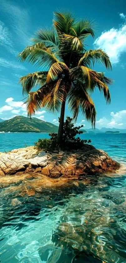 Tropical island with palm tree and clear blue ocean.