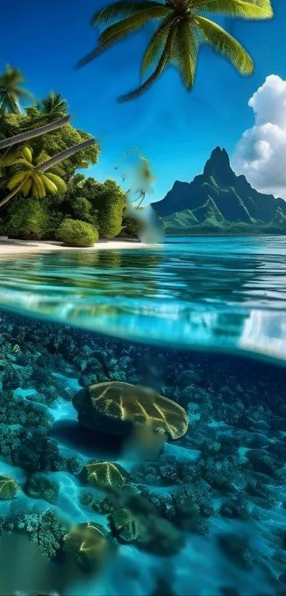 Tropical paradise with turquoise waters and palm trees.