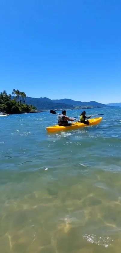 Two people kayaking on a sunny tropical beach with clear blue skies.