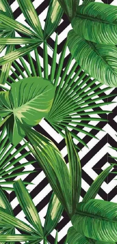 Tropical leaves on black and white pattern wallpaper.