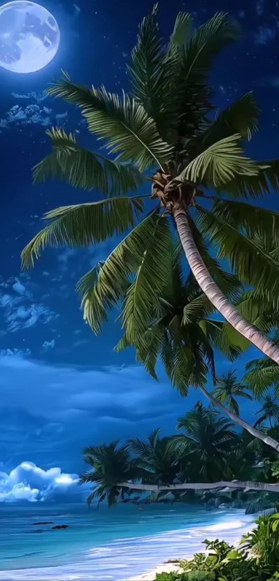 Tropical beach under a full moon night sky with palm trees.