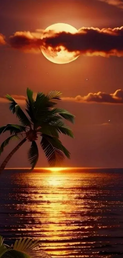 Tropical sunset with moonlit beach and palm silhouette.