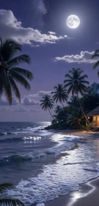 Moonlit tropical beach with palm trees and cottage at night.