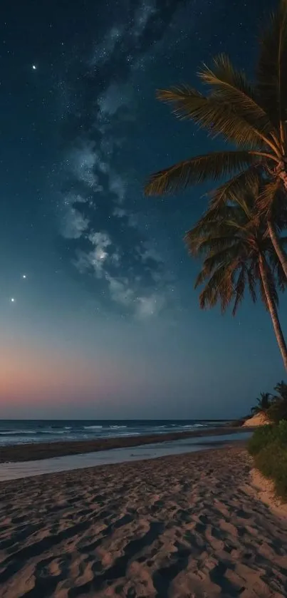 Tropical beach at night with palm trees and a starry sky.