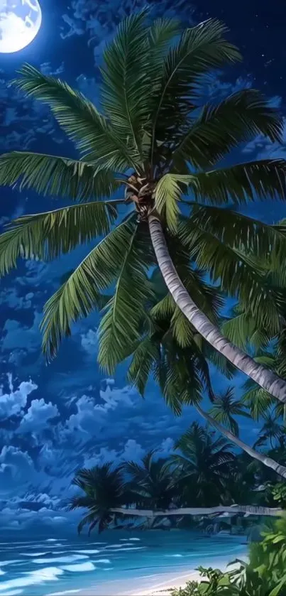 Tropical beach at night with full moon illuminating palm trees.