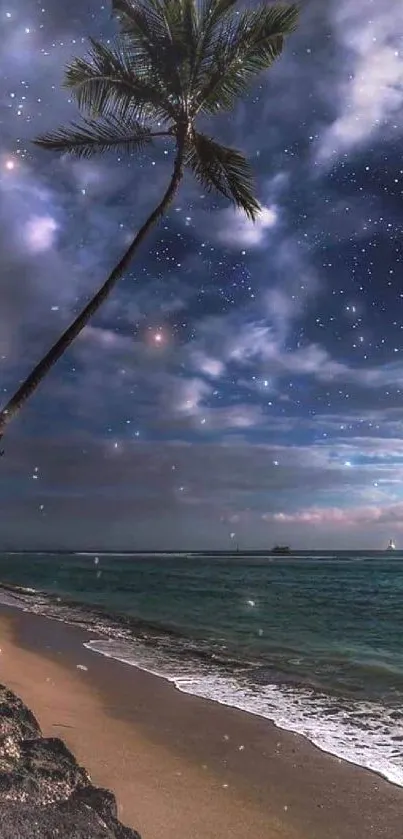 Tropical beach at night with stars and palm trees under a dark blue sky.