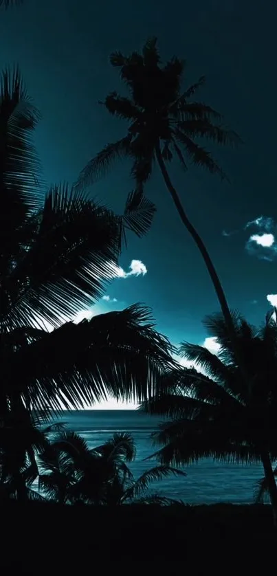 Tropical night sky with palm silhouettes.