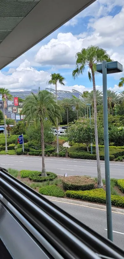 Tropical city view with palm trees and greenery.