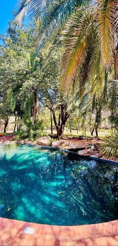 Tropical oasis with palm trees and a tranquil reflective pool.