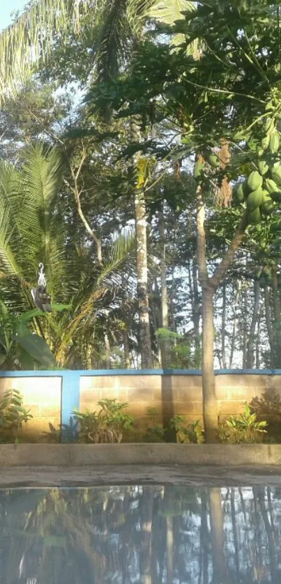 Serene tropical garden with palm trees reflected on water.