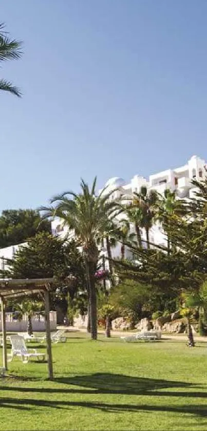 Lush tropical resort with palm trees and white buildings in the background.