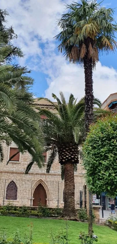 Urban park with palm trees and historic building.