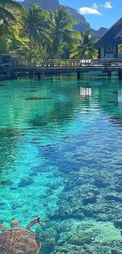 Serene tropical beach with a sea turtle swimming in clear turquoise waters.