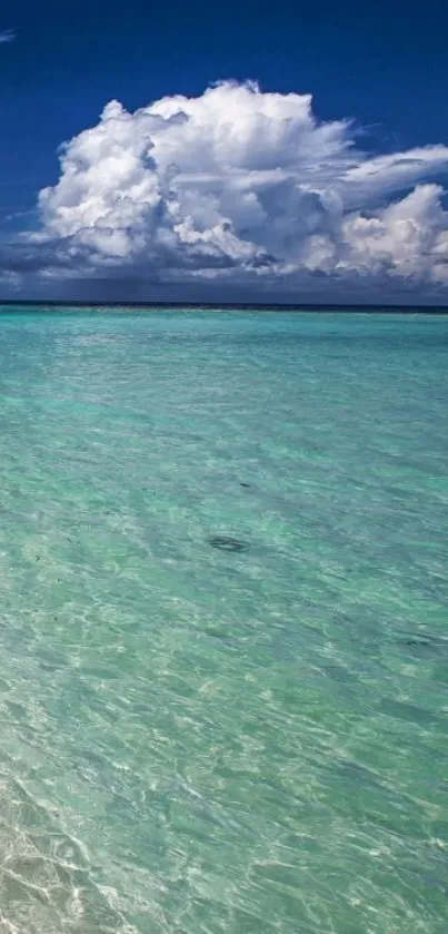 Tropical ocean view with clear water and clouds.