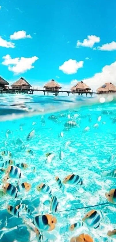 Tropical ocean scene with fish and huts.