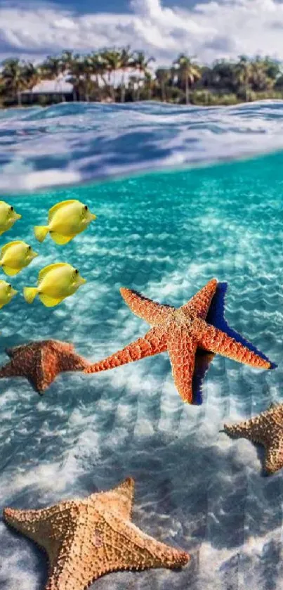 Colorful starfish and fish in a tropical beach scene.