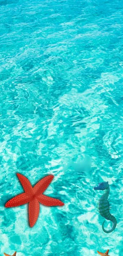 Mobile wallpaper with tropical ocean theme featuring starfish and seahorse.