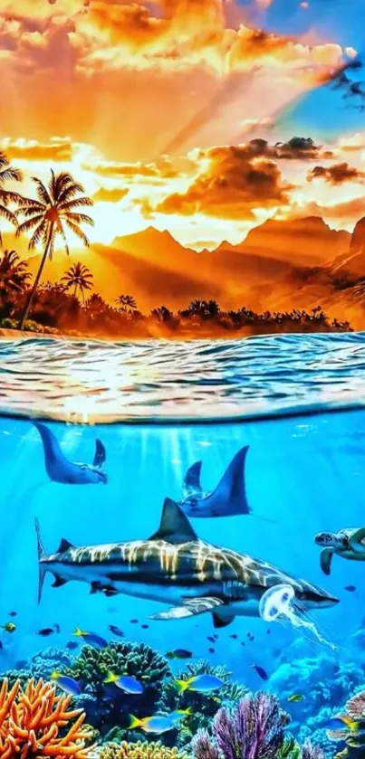 Tropical ocean sunset with vibrant marine life and coral reef