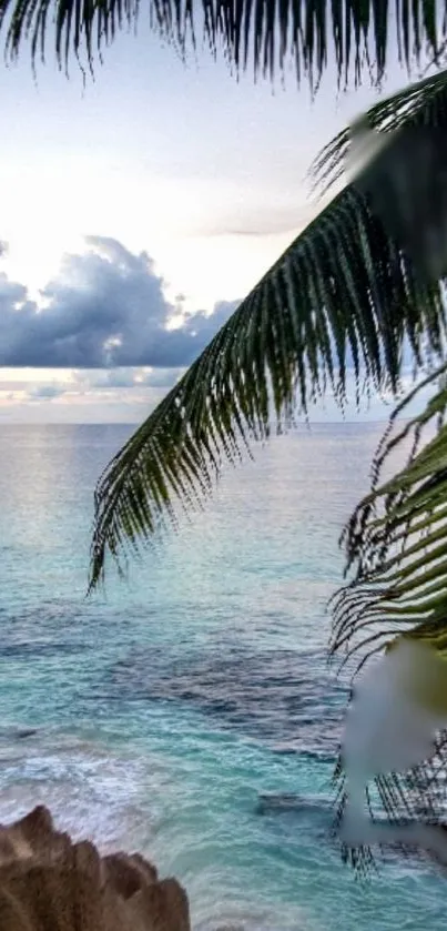 Serene tropical ocean view with palm trees and clear blue water.