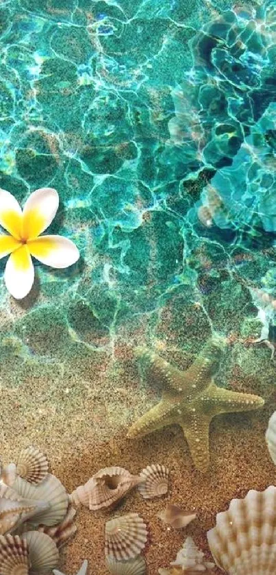 Tropical ocean view with seashells and flower on sand background.