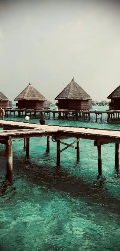 Tropical overwater bungalows over turquoise water in a serene setting.