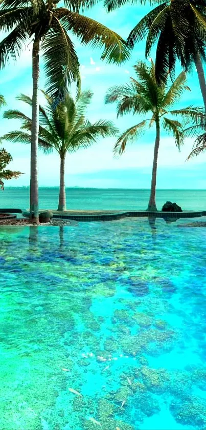 Tropical beach with palm trees and turquoise ocean in the background.