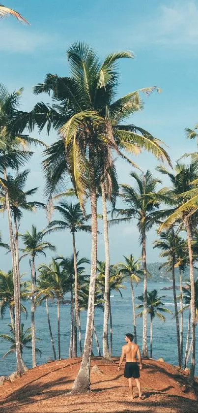 Man stands among palm trees on a tropical beach under a blue sky.