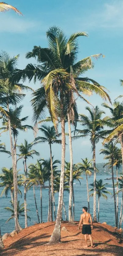 Scenic view of a tropical beach with palm trees and ocean.