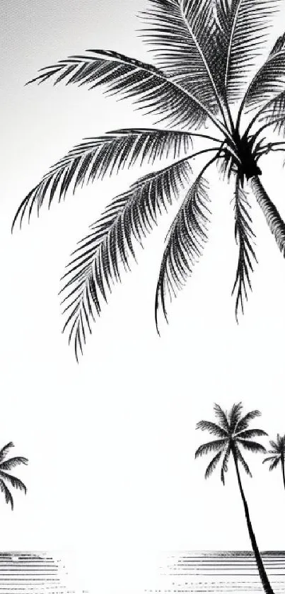 Black and white tropical palm trees by the beach.