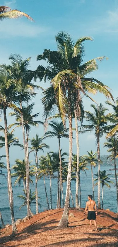 Serene tropical beach with palm trees and clear sky.