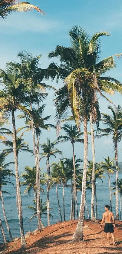 Tropical palm trees on a beach with a calm ocean view.