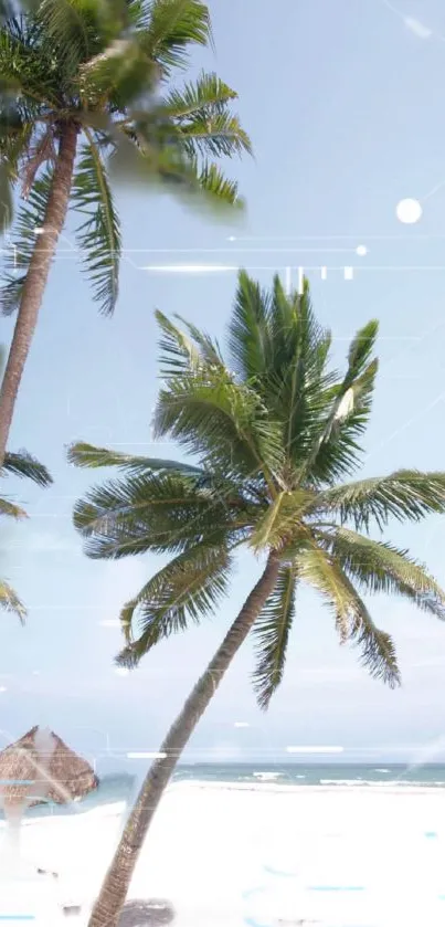 Tropical beach scene with palm trees under a clear blue sky, perfect for mobile wallpaper.