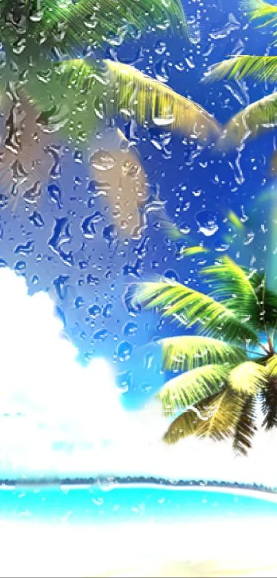 Tropical wallpaper with palms and a clear blue sky reflecting water droplets.