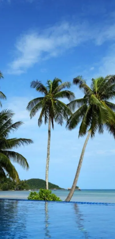 Tropical beach with palm trees under a clear blue sky.