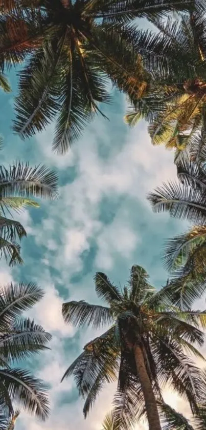 Tropical palms against a vibrant blue sky.