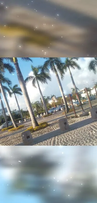 Tropical palm street with blue sky and urban cityscape.