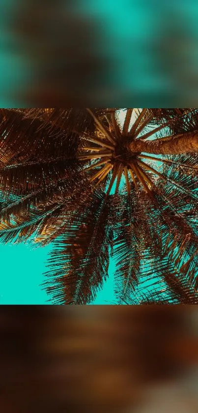 Palm tree silhouette against aqua sky.