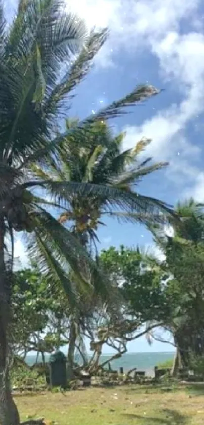 Lush green palm trees against a bright blue sky in a tropical setting.