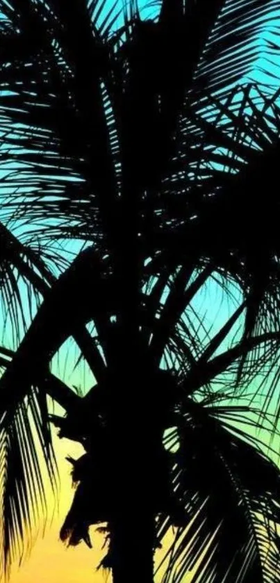 Silhouette of a palm tree against a colorful sunset gradient.