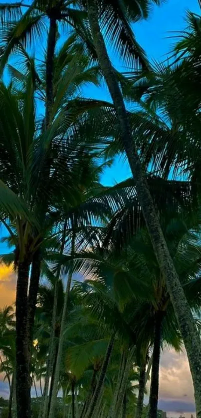 Tropical palm trees at sunset with vibrant sky and greenery.